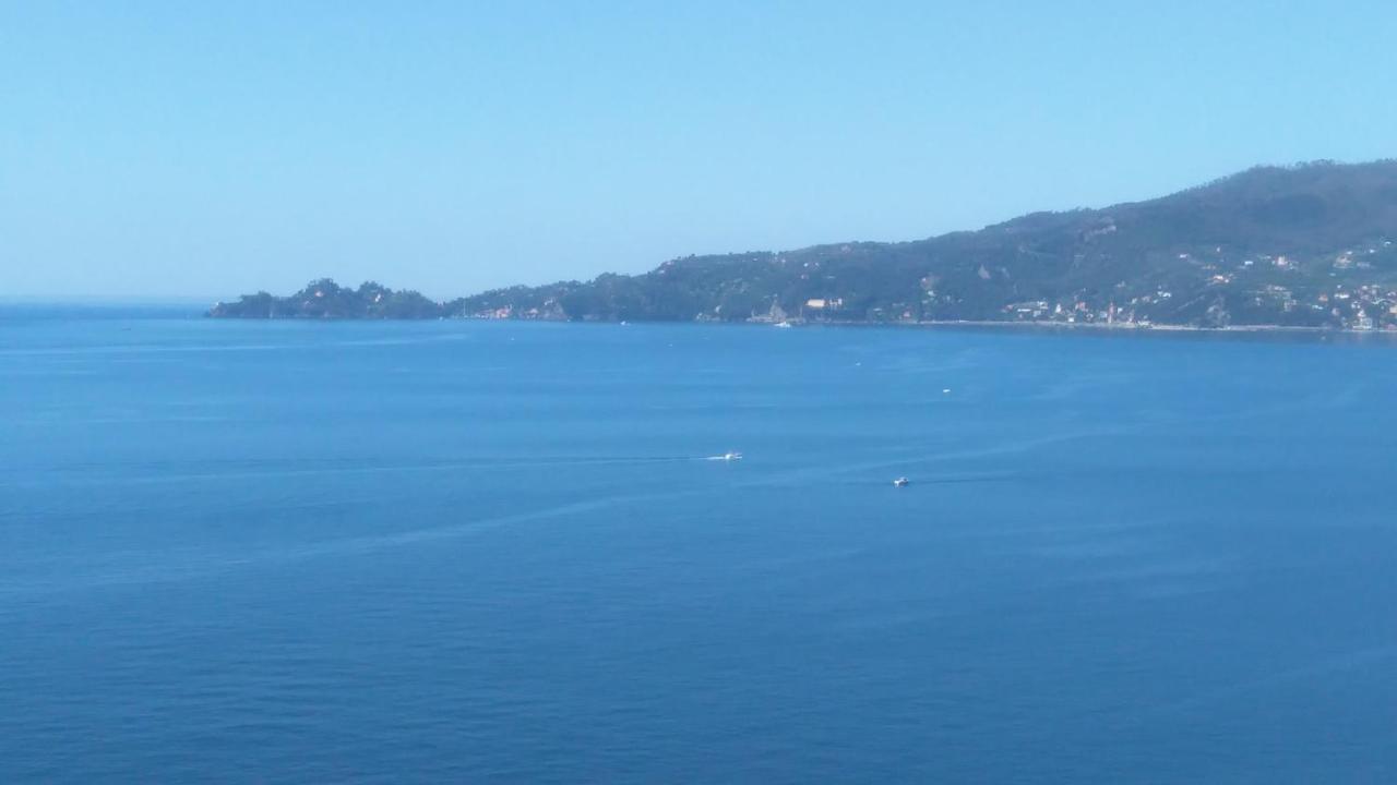 Mare E Vista Portofino - Sea And Portofino View Zoagli Buitenkant foto