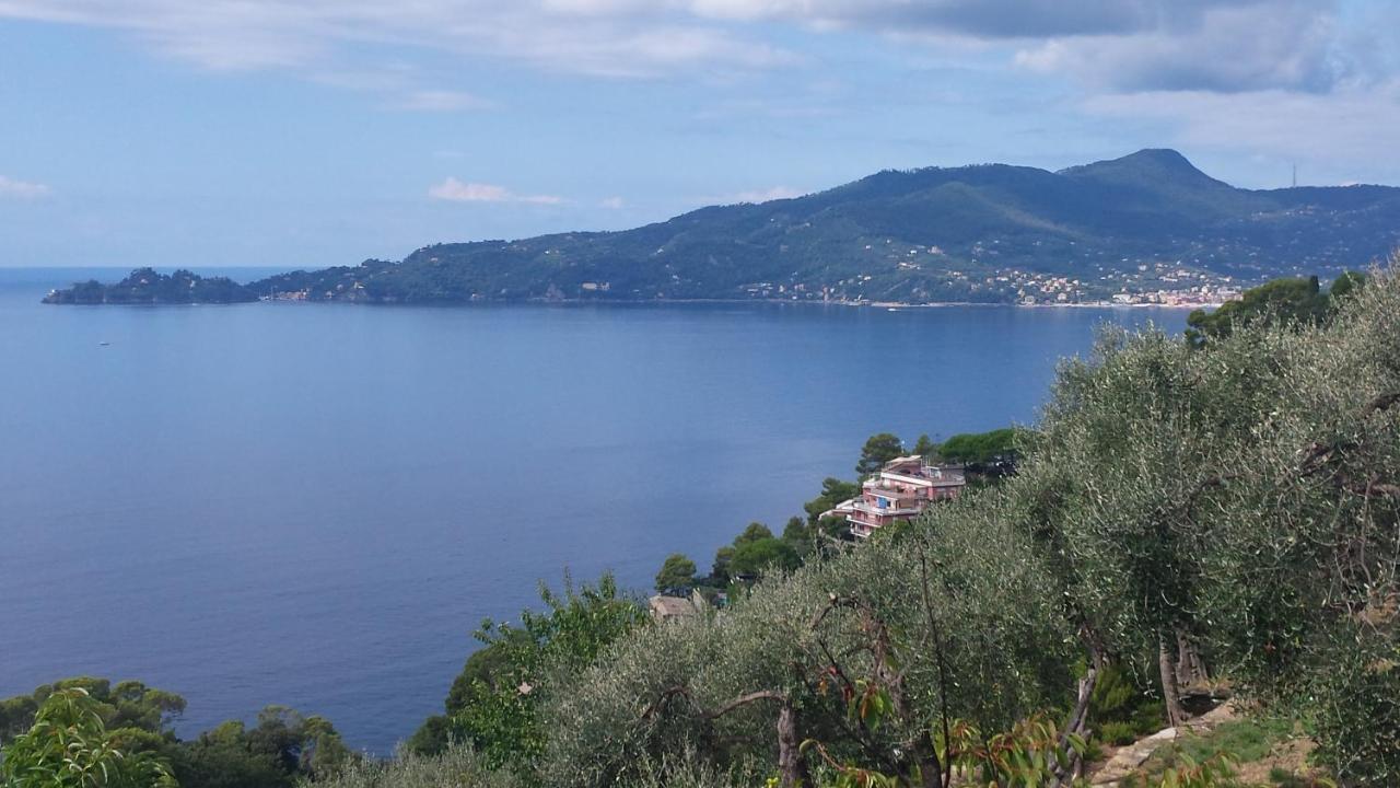 Mare E Vista Portofino - Sea And Portofino View Zoagli Buitenkant foto