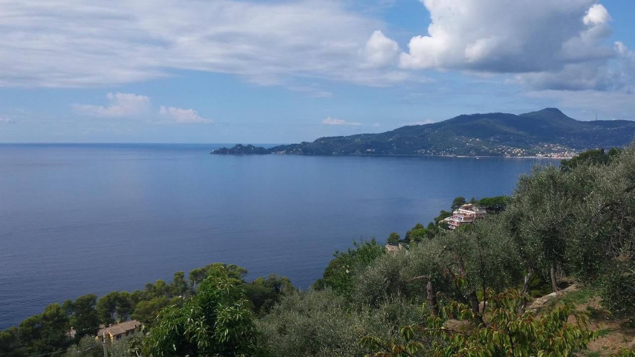 Mare E Vista Portofino - Sea And Portofino View Zoagli Buitenkant foto