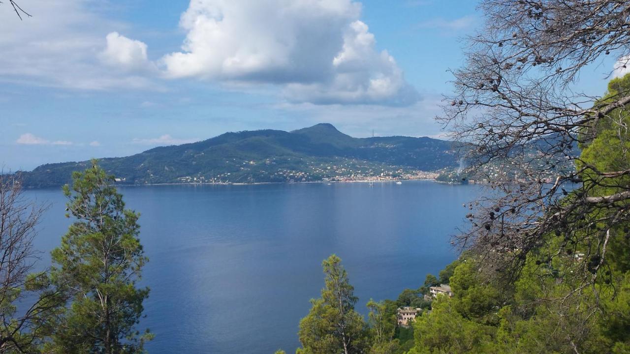 Mare E Vista Portofino - Sea And Portofino View Zoagli Buitenkant foto