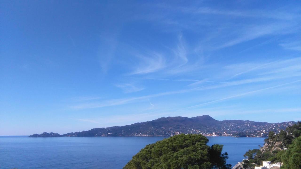 Mare E Vista Portofino - Sea And Portofino View Zoagli Buitenkant foto