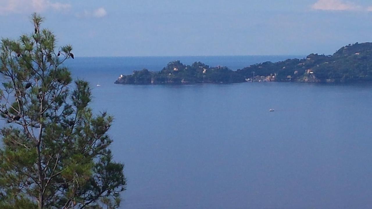 Mare E Vista Portofino - Sea And Portofino View Zoagli Buitenkant foto